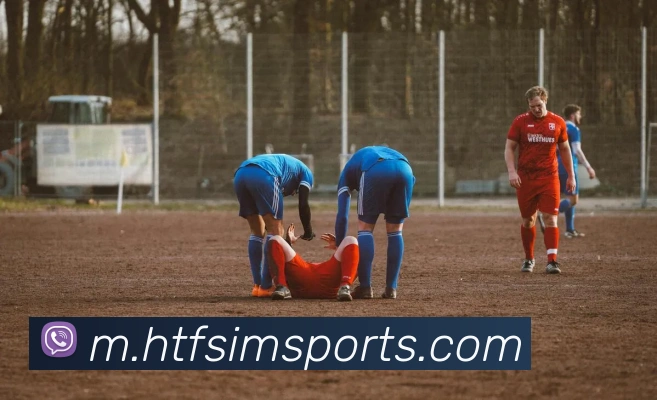 体育下注平台生态图