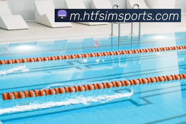 体育下注全站App